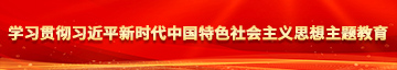 操嫩b在线观看学习贯彻习近平新时代中国特色社会主义思想主题教育